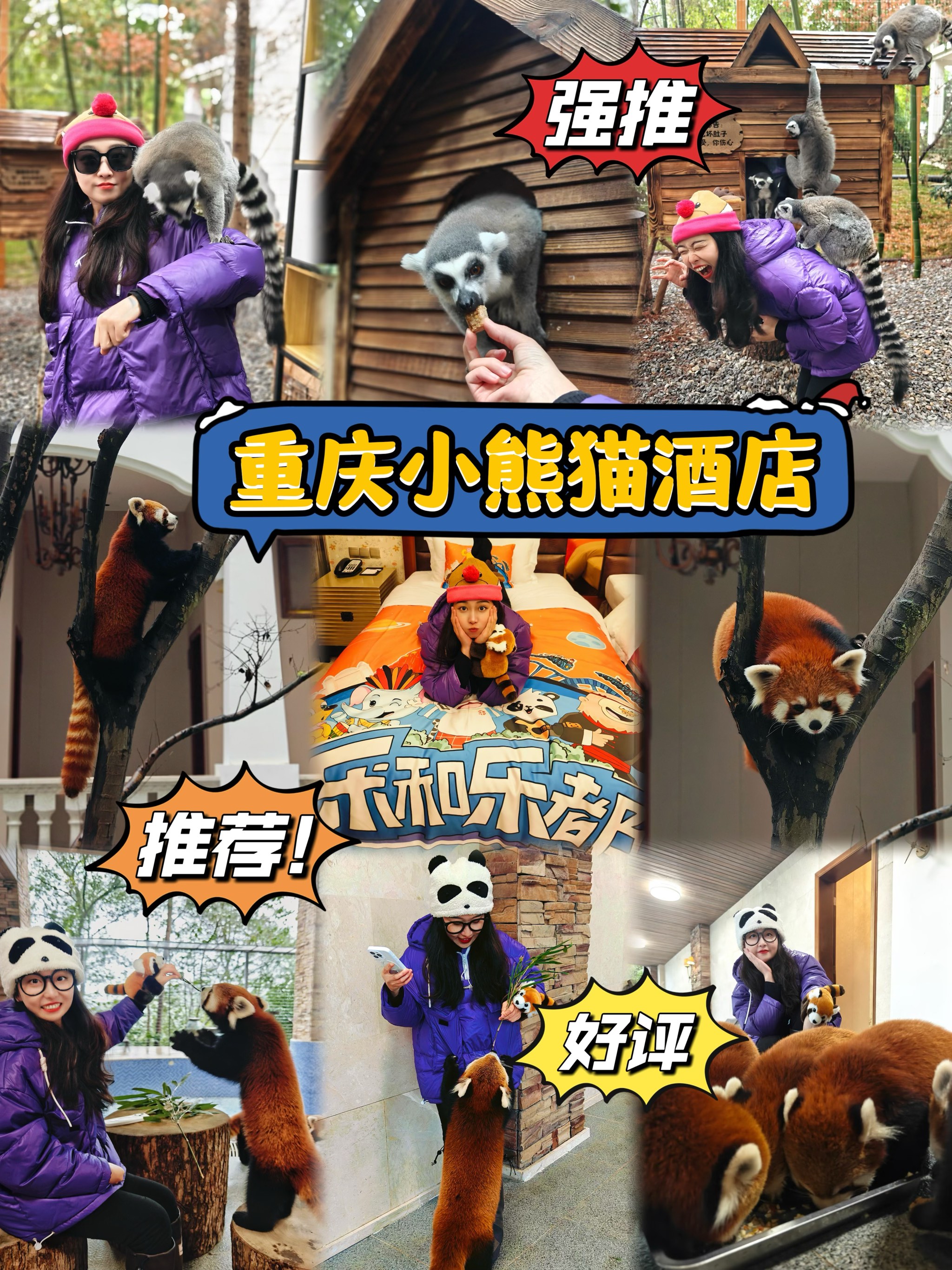 AYX官网-线上粉丝会：与偶像零距离互动体验