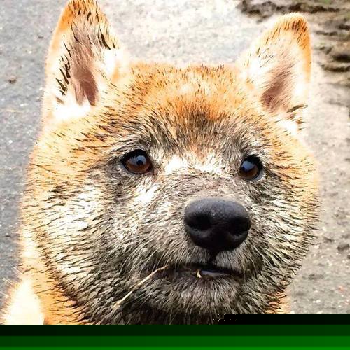 AYX体育官网-_新赛季展望：选手目标与期待热度升高_，新赛季rw队员