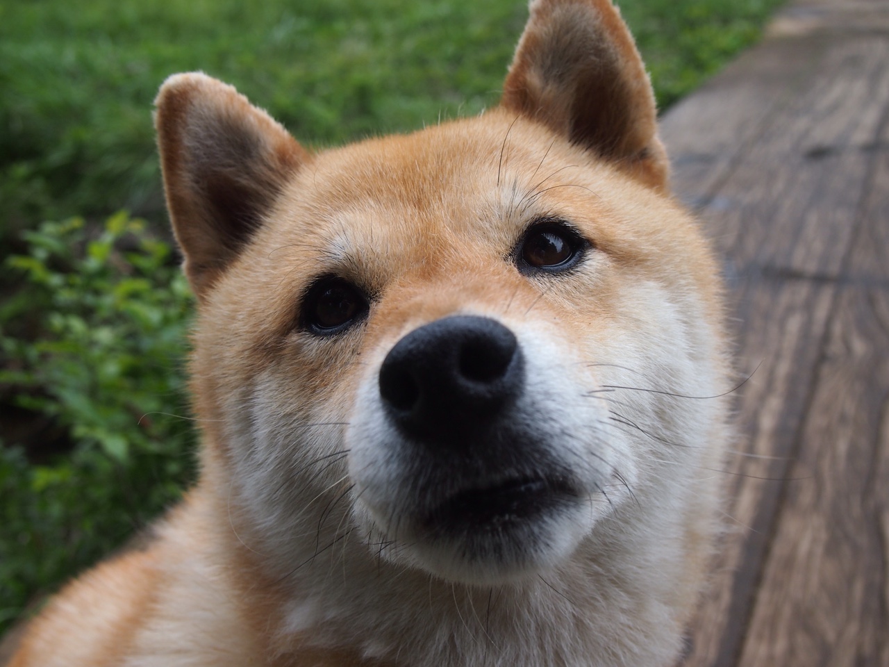 爱游戏体育平台-_极地冰雪滑行：体验雪原速度的快感_，极地冰川