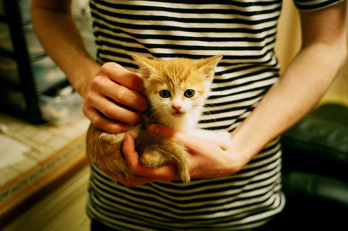 _魔术逆转佳绩，士气飙升引人注目_，魔术cull