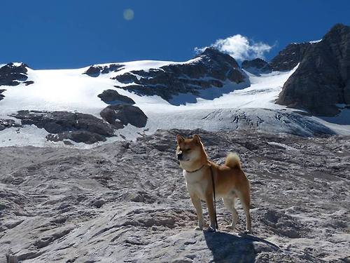 “泥泞中的王者:雨后泥地的疯狂追逐”,雨后泥泞的小路作文