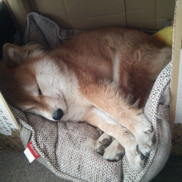 “泥泞角逐:越野赛段的血性拼搏”,越野经验泥泞路驾驶