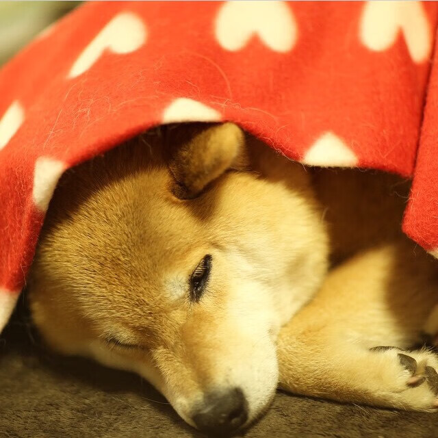 爱游戏体育平台-大奖赛最爆笑瞬间合集，大奖赛是什么意思