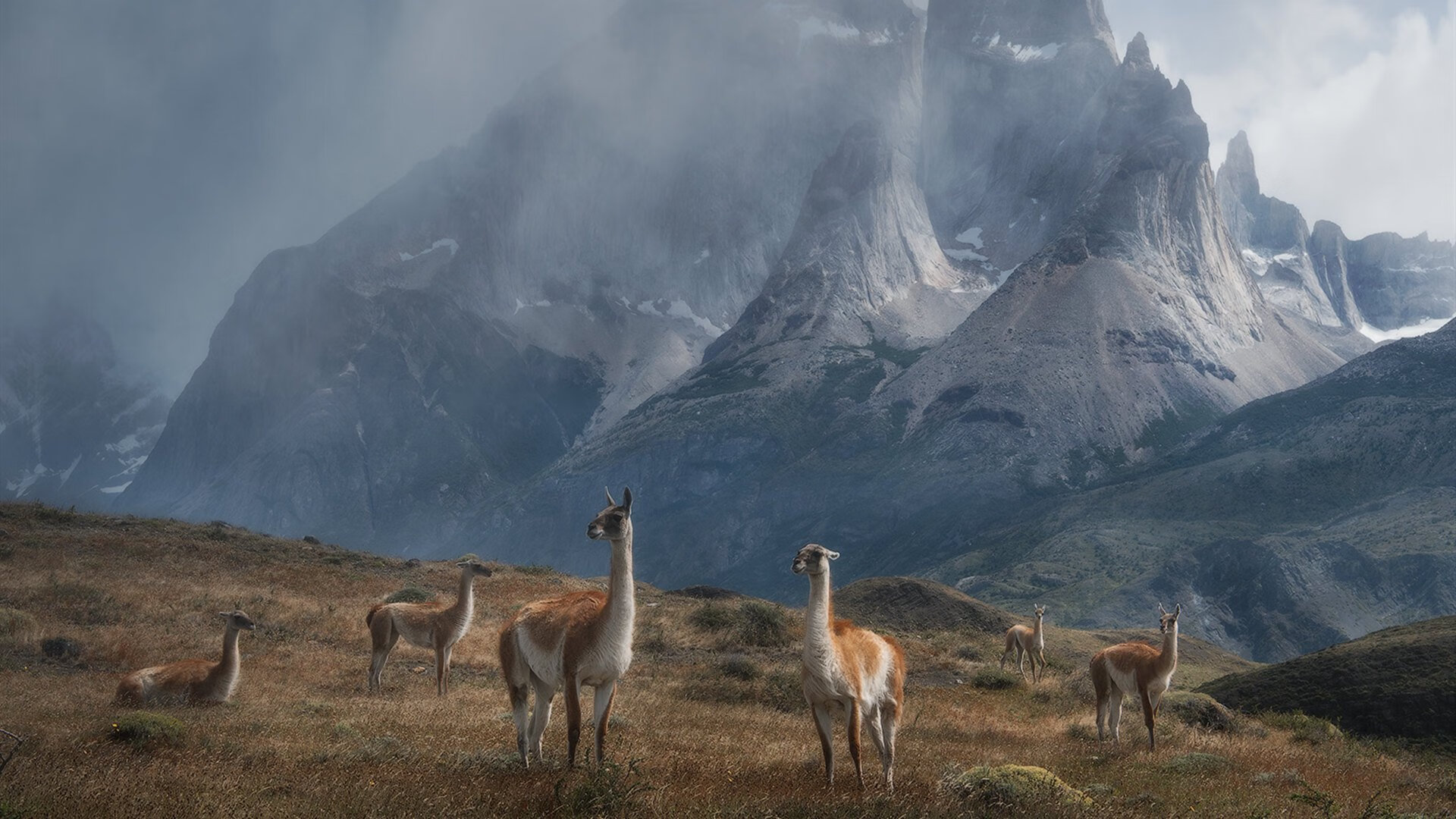 特色篮球文化走入中小学课堂，助力校园体育教育提升，篮球特色学校实施方案