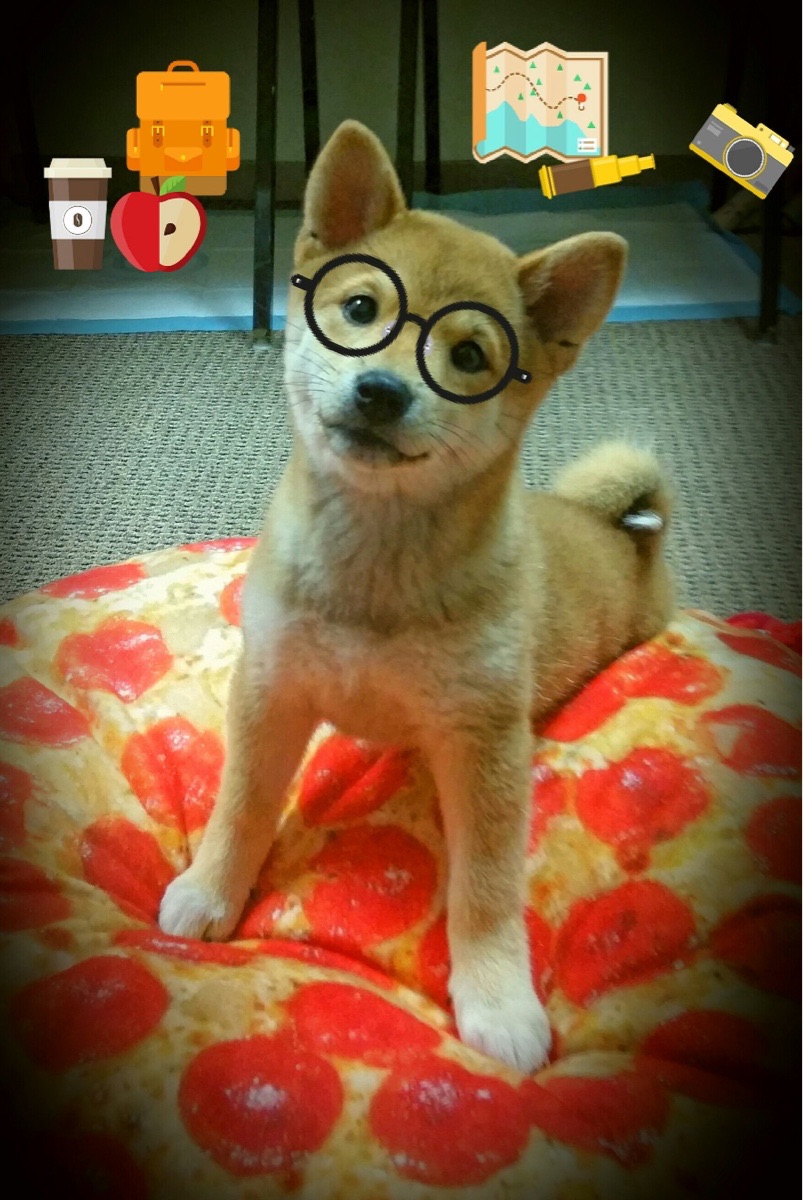 科技助推:AI分析、传感器辅助,打造“智能篮球”,人工智能 篮球