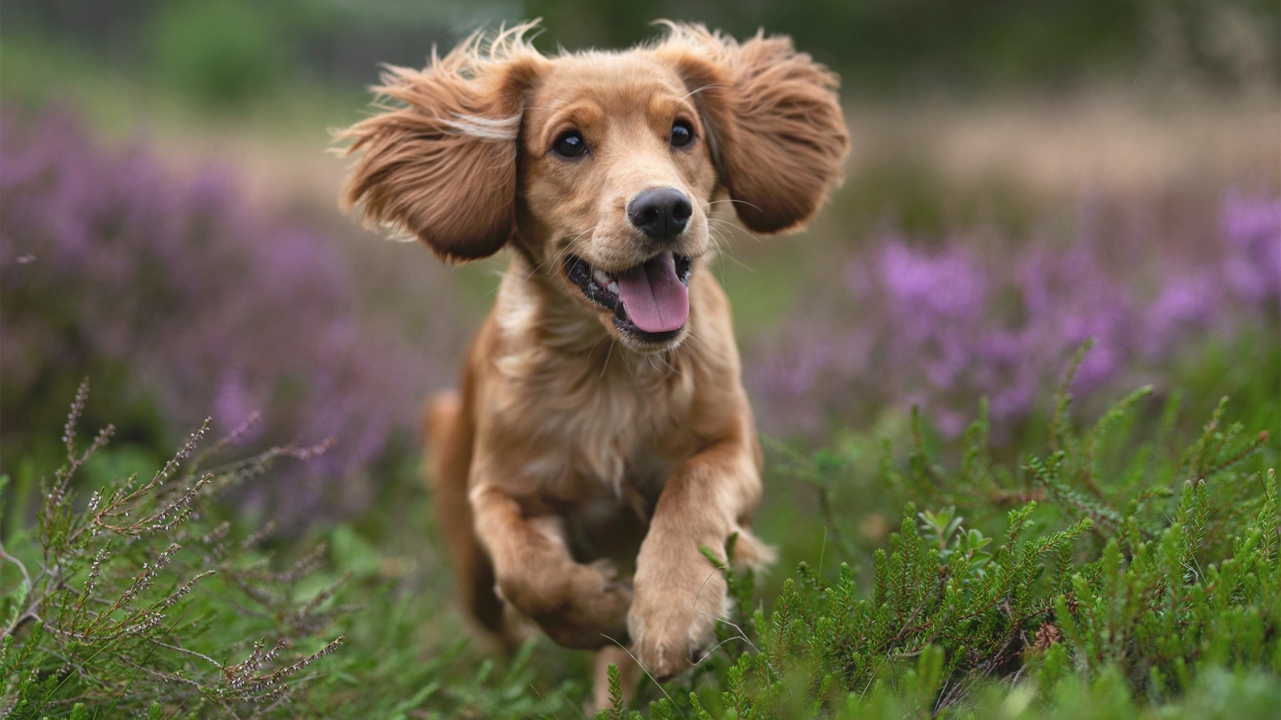 爱游戏-青少年“篮动青春”公益志愿服务在全国持续扩大影响力，长沙蓝青少年暑期公益志愿活动