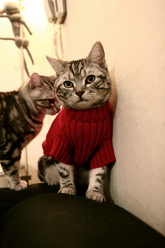 青少年“篮动青春”艺术表演在上海精彩上演,融合多元文化,青少年篮球舞蹈表演