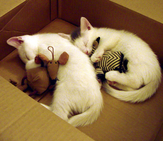 亚洲球队横扫国际巨人，令人惊叹表现，亚洲进球