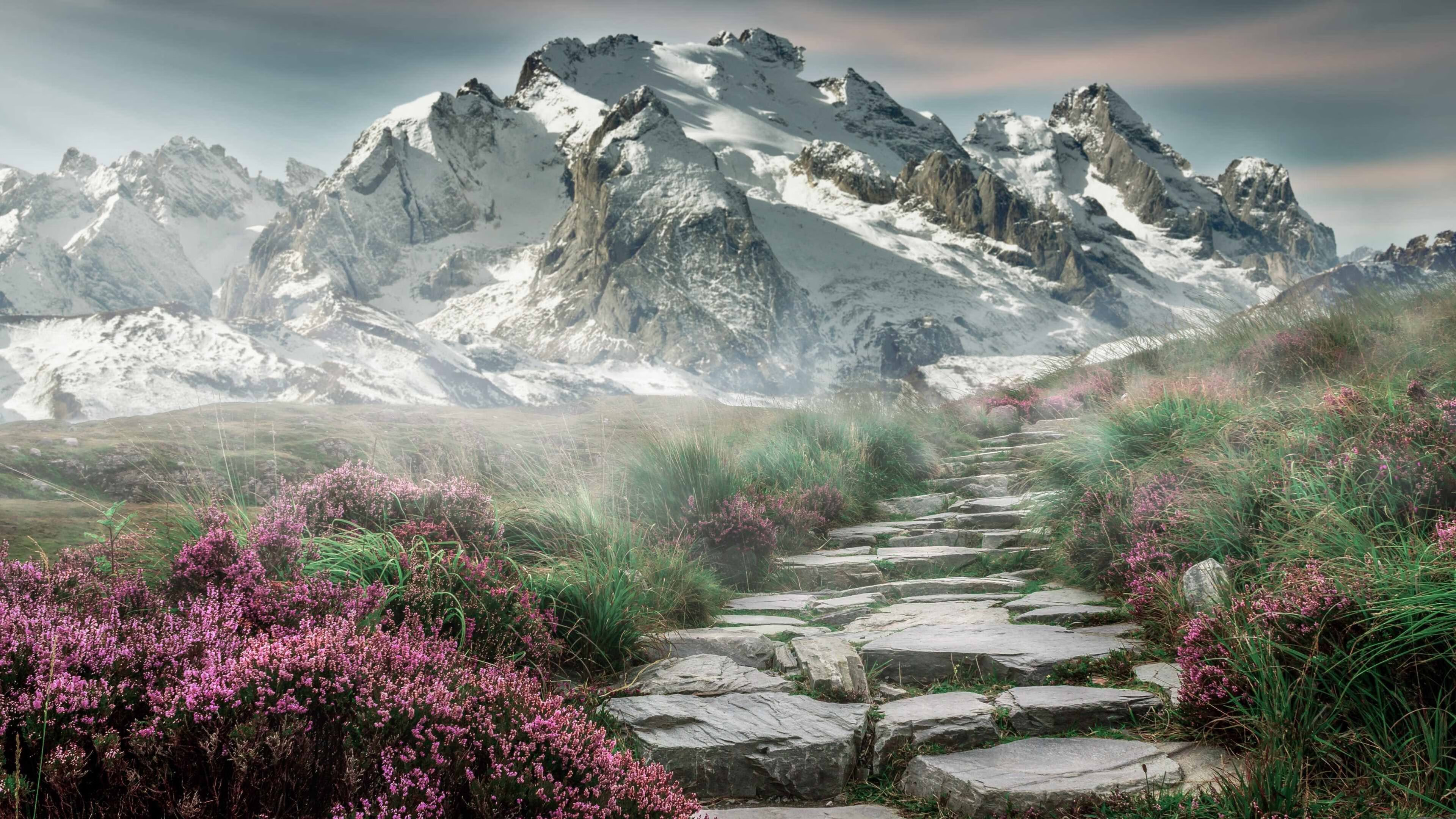 【战术解析】马克·塞尔比：如何用防守布局扼制对手？，马克,塞尔比