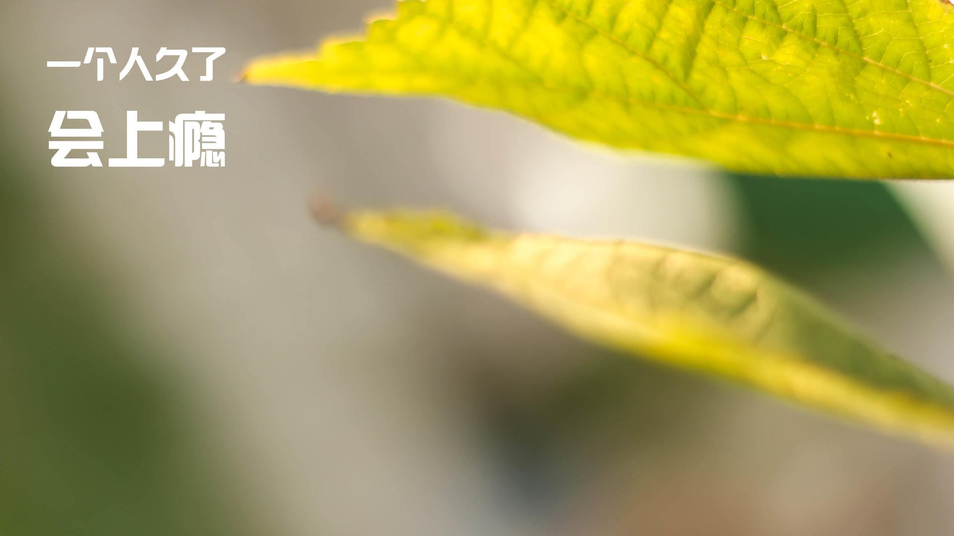 AYXSPORTSAPP-广州队士气高涨，毫不弱于对手实力，广州队是原来哪个队