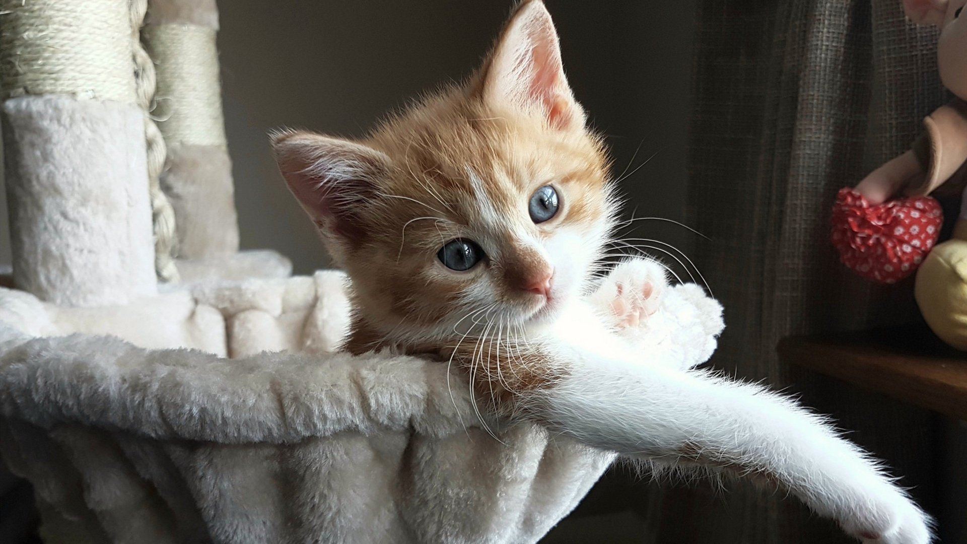 爱游戏体育官方网站-广州队士气高涨，毫不弱于对手实力，广州队比赛集锦