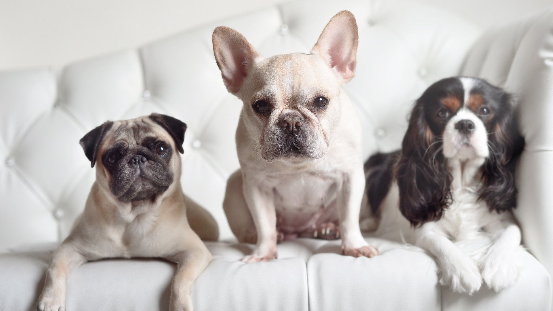 爱游戏电竞官网-广州队球员在比赛中表现稳定，取得胜利，广州队规划球员