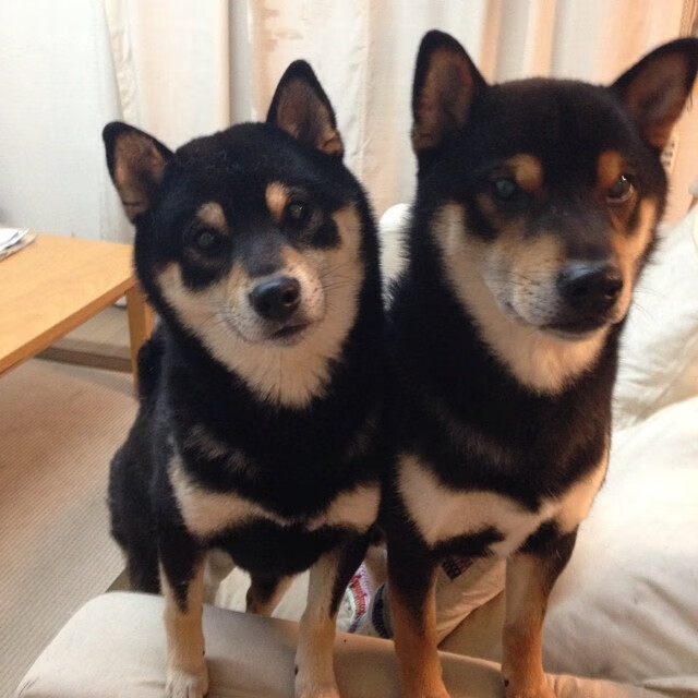 拉齐奥主帅大变动,球队士气将如何调整?,拉齐奥 主教练