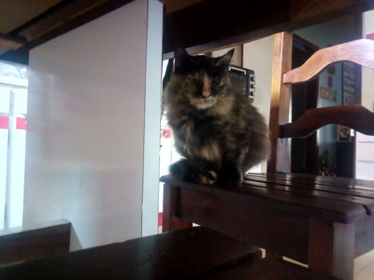 全面升级！青少年“篮球青训基地”在重庆正式投入使用，重庆青少年篮球比赛