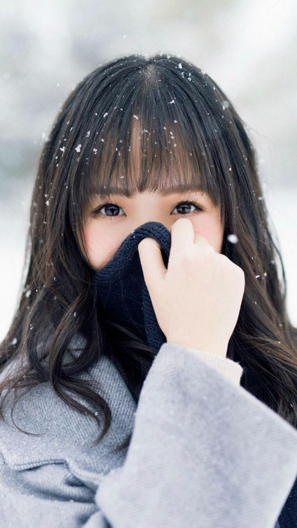 爱游戏app-日本马术协会与大学合作，开展马术专业课程，培养专业人才。，日本东京马术俱乐部