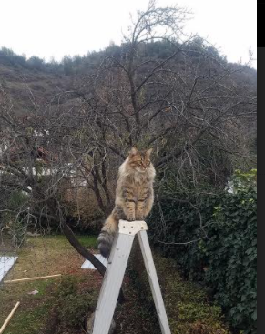 AYX体育官网-史上最“热血”的季后赛用战，激动人心的对决回顾，季后赛胜率排行榜