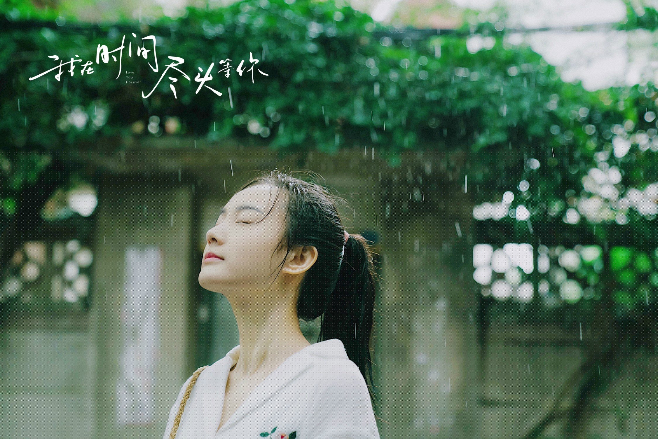 史上最激动人心“冠军夜”:谁的荣耀最闪耀?,荣耀冠军主题曲