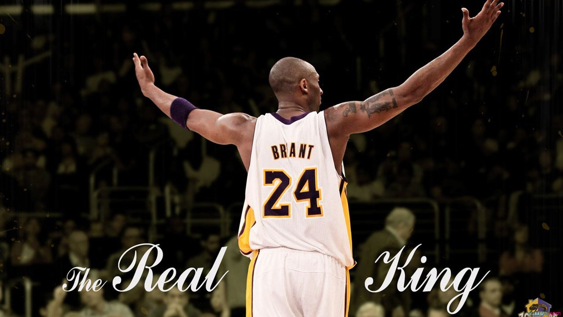 热刺2-1纽卡斯尔,主场取胜