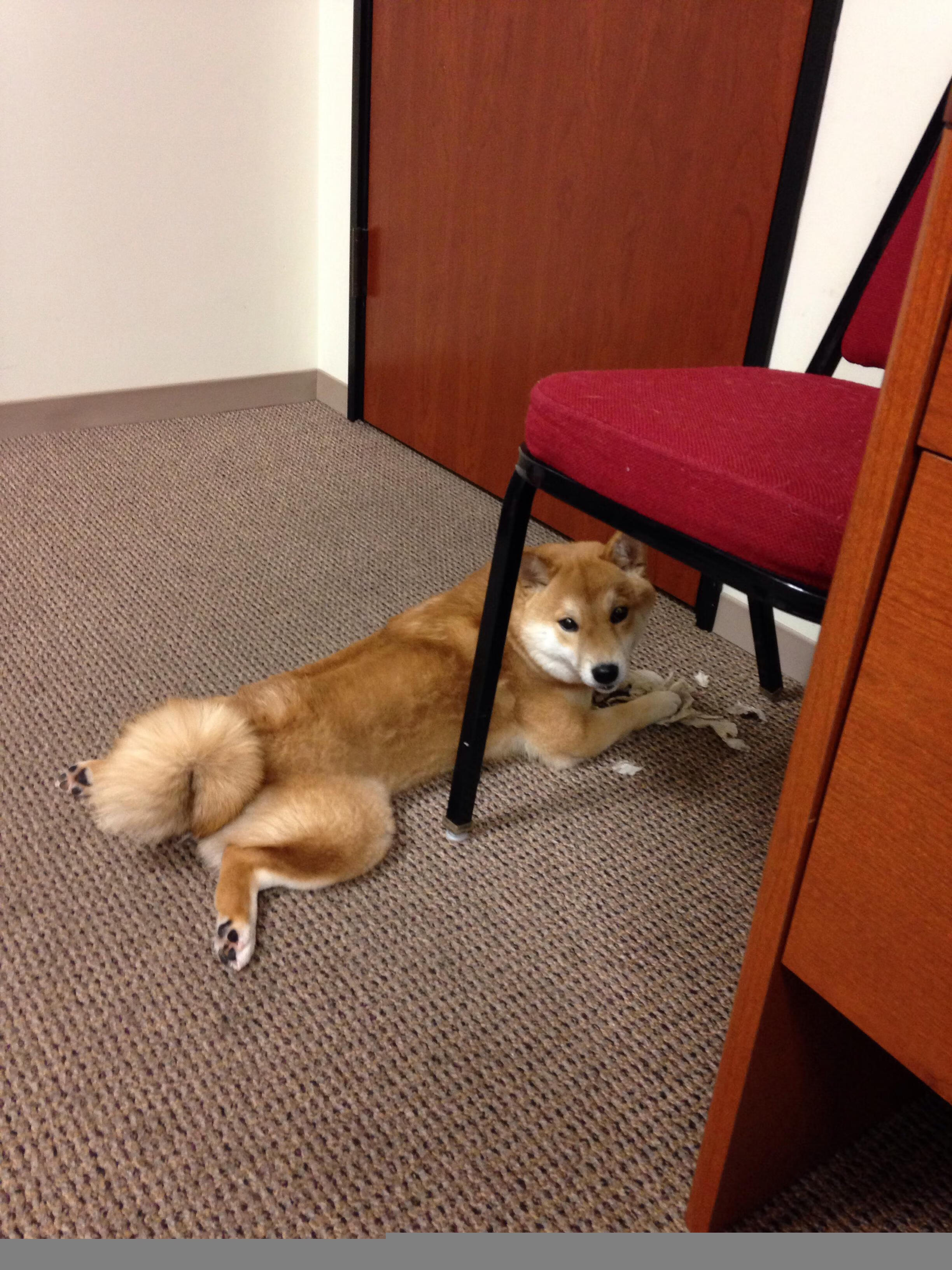 爱游戏在线登录入口-史上最精彩的Opta统计分析：这些数据告诉你什么？，opt算法例题解析