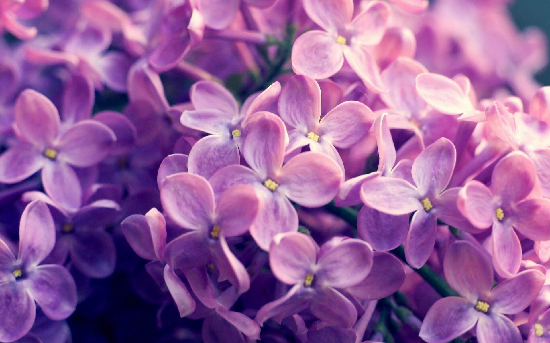 爱游戏平台-新兴游戏类型引领电竞新潮流，关注度持续升高，新兴的游戏