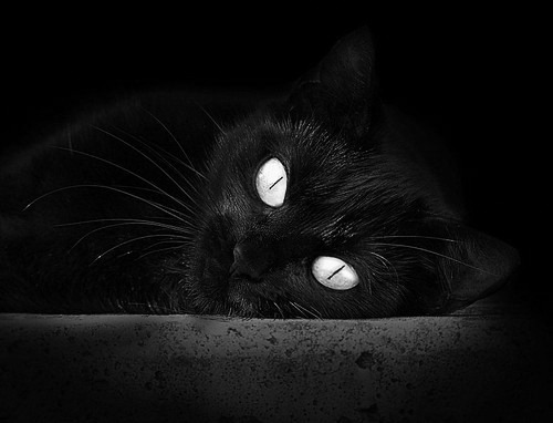 法甲激烈对决,球员谈比赛策略,法甲对阵表