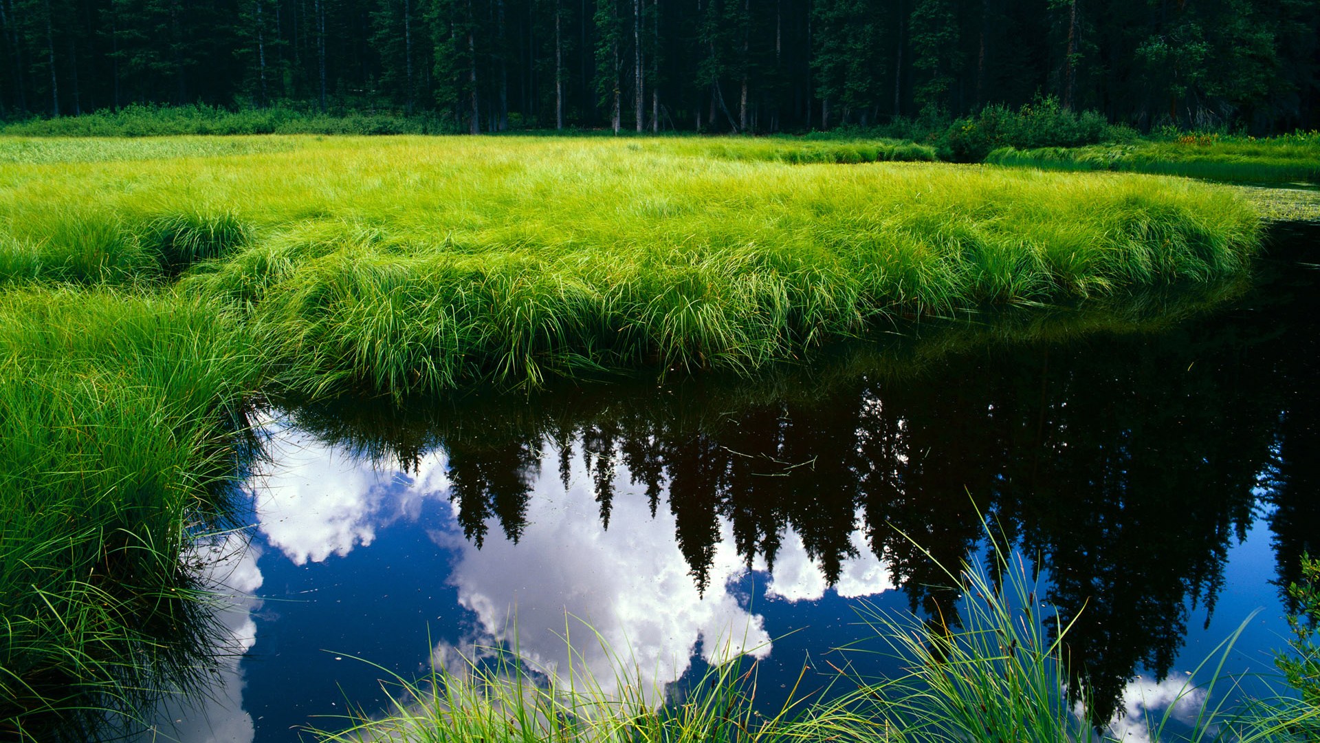 爱游戏中国官方网站平台-电竞选手村的生活：训练、休息与娱乐，电竞选手bang