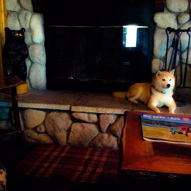 爱游戏app下载-精彩瞬间盘点：本周最震撼的比赛瞬间，比赛的精彩瞬间的句子