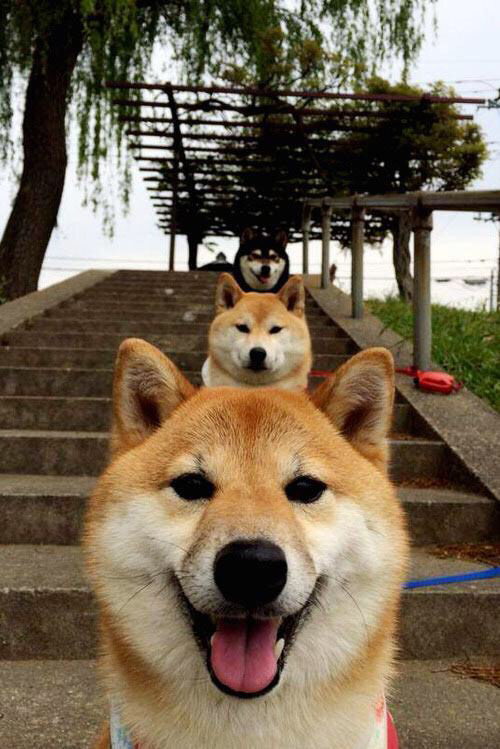 爱游戏体育（AYX）官方APP下载-青训先进设备首次引入基层，推动乡村足球全面振兴，足校青训