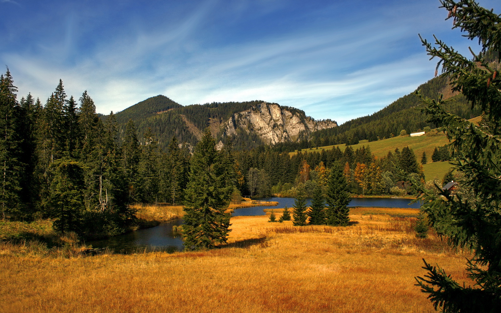 上海飞虎客场负于浙江金牛队,遇到三连败,上海飞虎机械有限公司