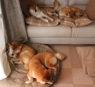 AYX体育-中国篮球运动赛事安全保障体系，中国篮球竞赛制度改革