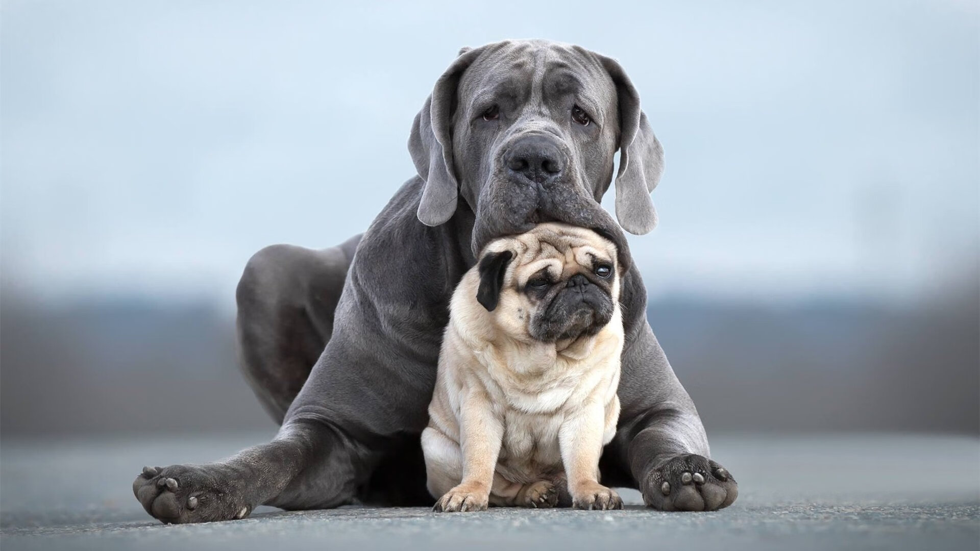 中国足球的球员技术提升计划,国足球员能力值
