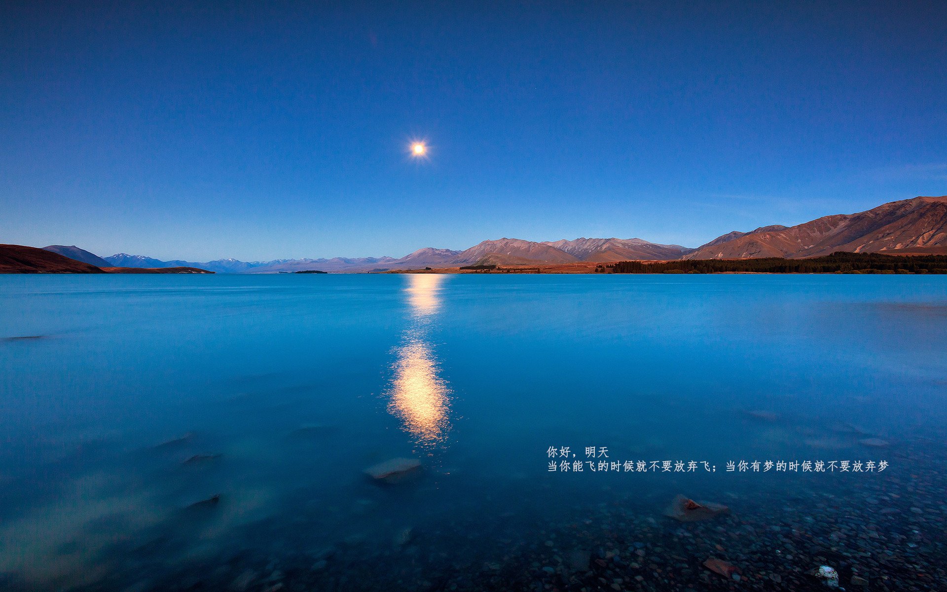 CBA球队注重伤病防控,cba球员伤情报告