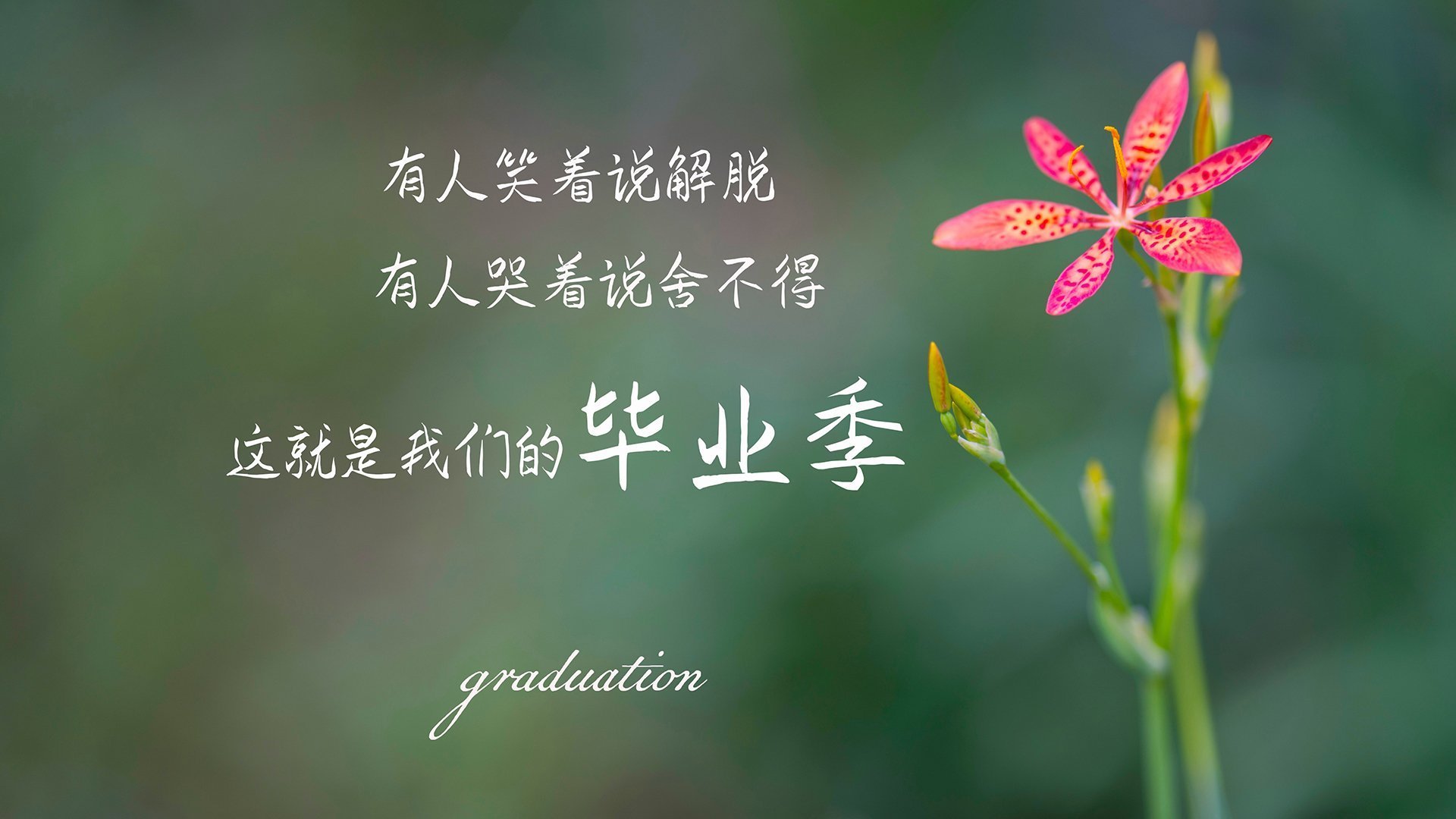 兰斯迎来连胜,士气正盛,状态正佳,兰斯ce