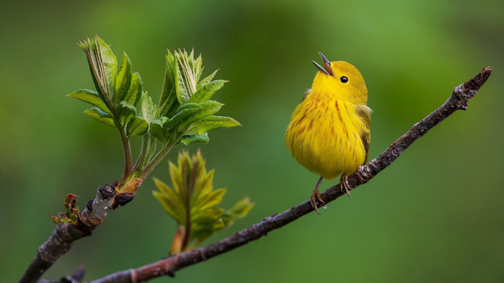 爱游戏体育APP下载-五大联赛是否推动门将站位前移至半场边缘，五大联赛门将扑救率排名