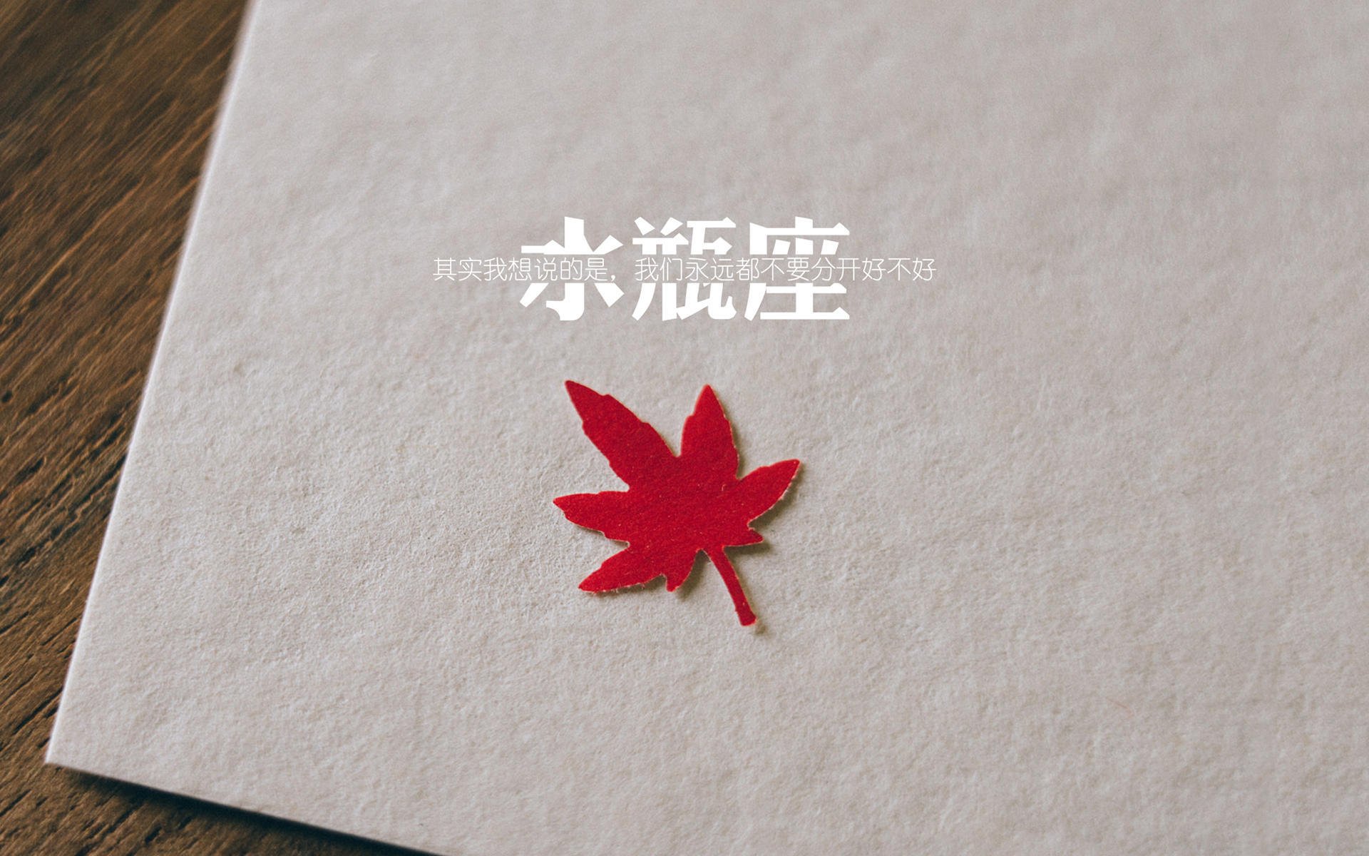 国足队员团结协作,夺得国际赛桂冠,国足参赛名单