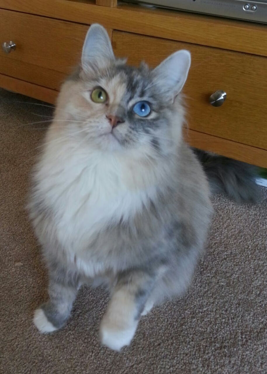 AYX SPORTS-曼联青训球员崭露头角，成为焦点，曼联青训营叫什么名字