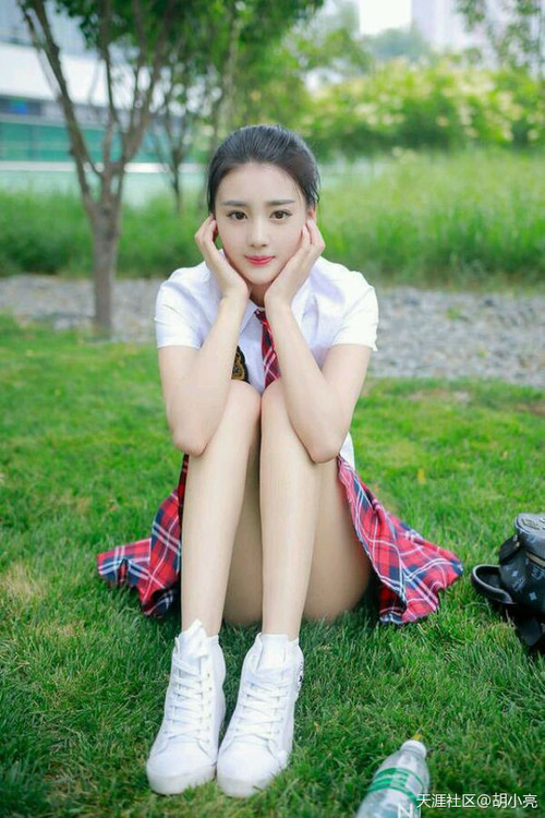 夏洛特黄蜂宣布新赛季主场装修,夏洛特黄蜂进过季后赛吗