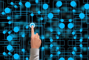 爱游戏娱乐平台-冬奥会遗产利用与社会价值实现研究，冬奥会遗产战略计划