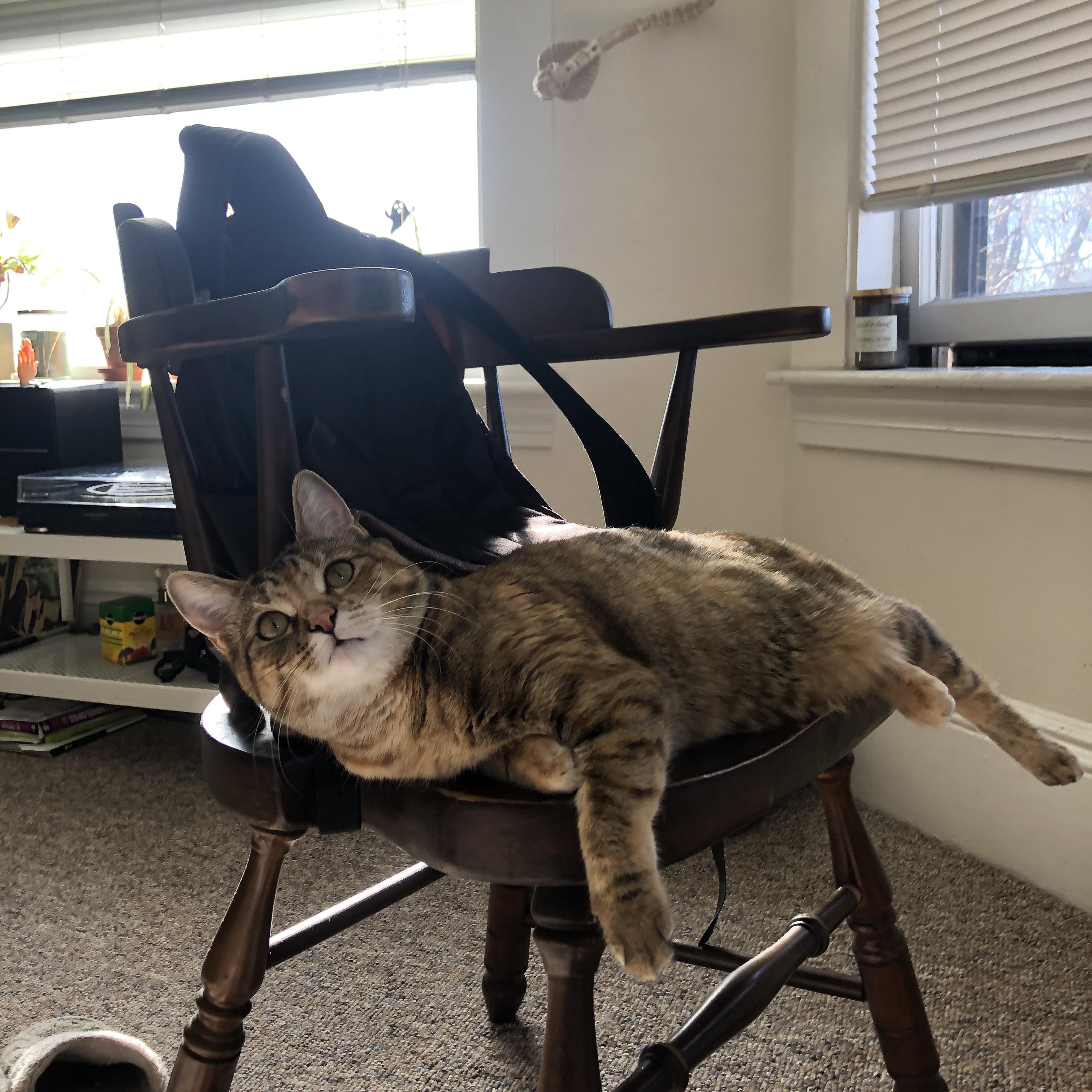 网球大满贯青少年组竞争日趋激烈，网球大满贯项目