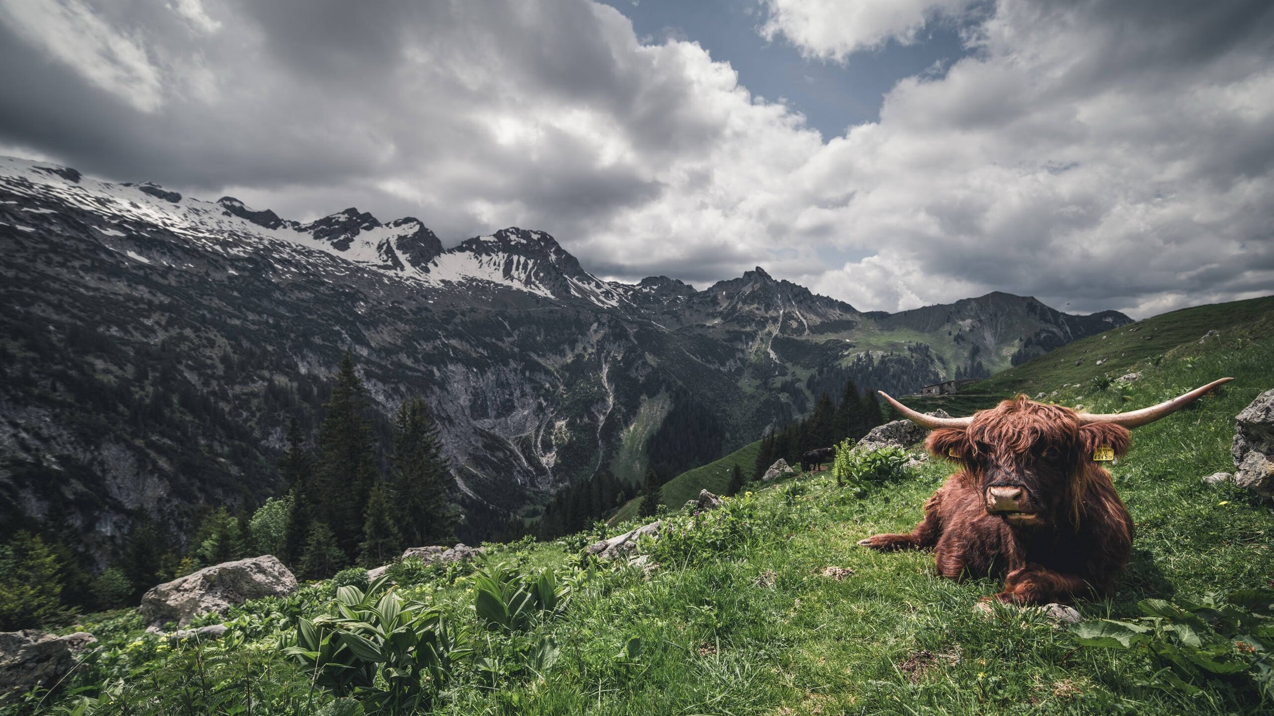 “拳击选手全力出击,四川省体育馆迎来激烈角逐”