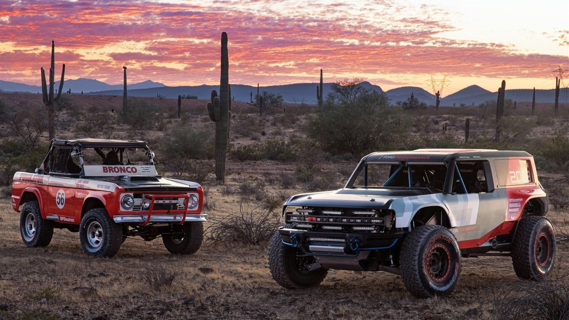 中美澳德蝶泳节奏变化趋势同步对比，蝶泳奥运会比赛视频