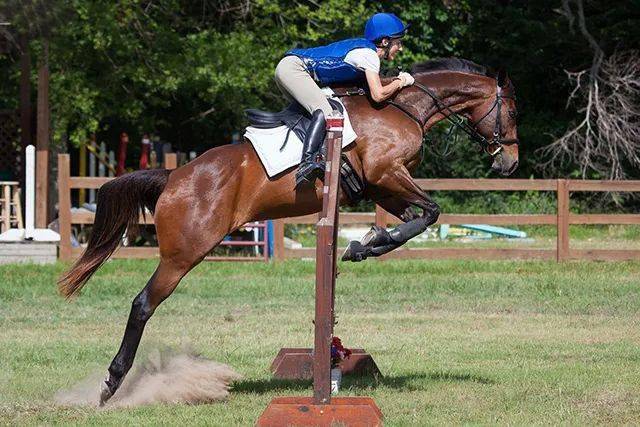 爱游戏体育:国际马术赛事的精彩瞬间，骑手与马的默契合作的简单介绍