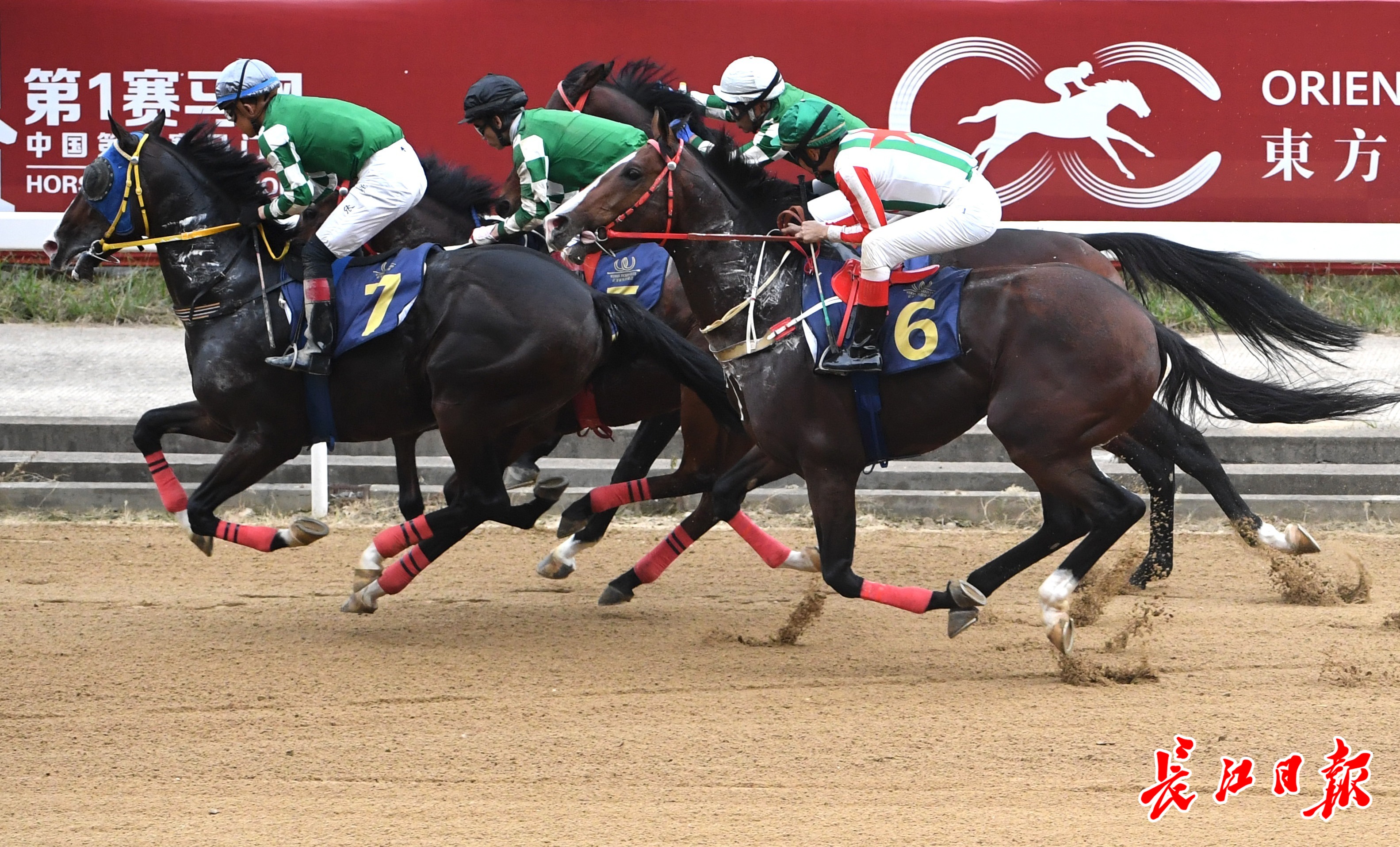 爱游戏体育:国际马术赛事的精彩瞬间,骑手与马的默契合作的简单介绍 爱游戏体育:国际马术赛事的精彩瞬间,骑手与马的默契合作的简单介绍